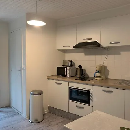 4 Personnes, 1 Chambre, Terrasse, Wifi, Proche Du Centre Apartment La Bourboule