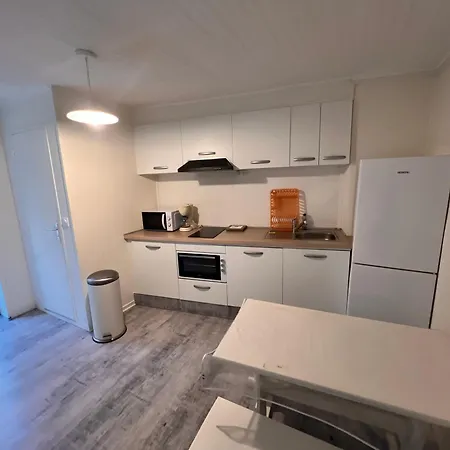 Apartment 4 Personnes, 1 Chambre, Terrasse, Wifi, Proche Du Centre La Bourboule