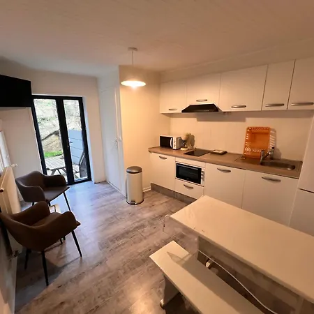 4 Personnes, 1 Chambre, Terrasse, Wifi, Proche Du Centre La Bourboule